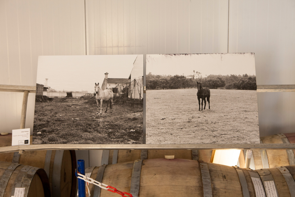 Obras na leilão de arte