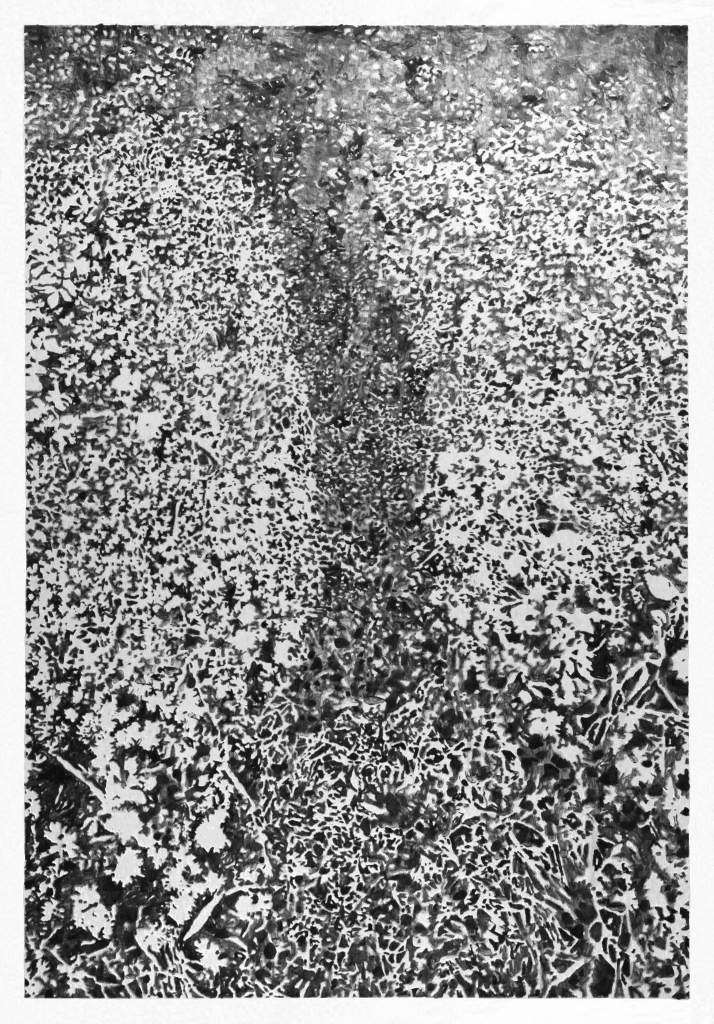 Desenho da série Rastro, de Sara Belo